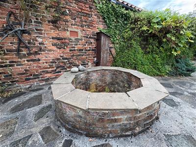 Picture 14